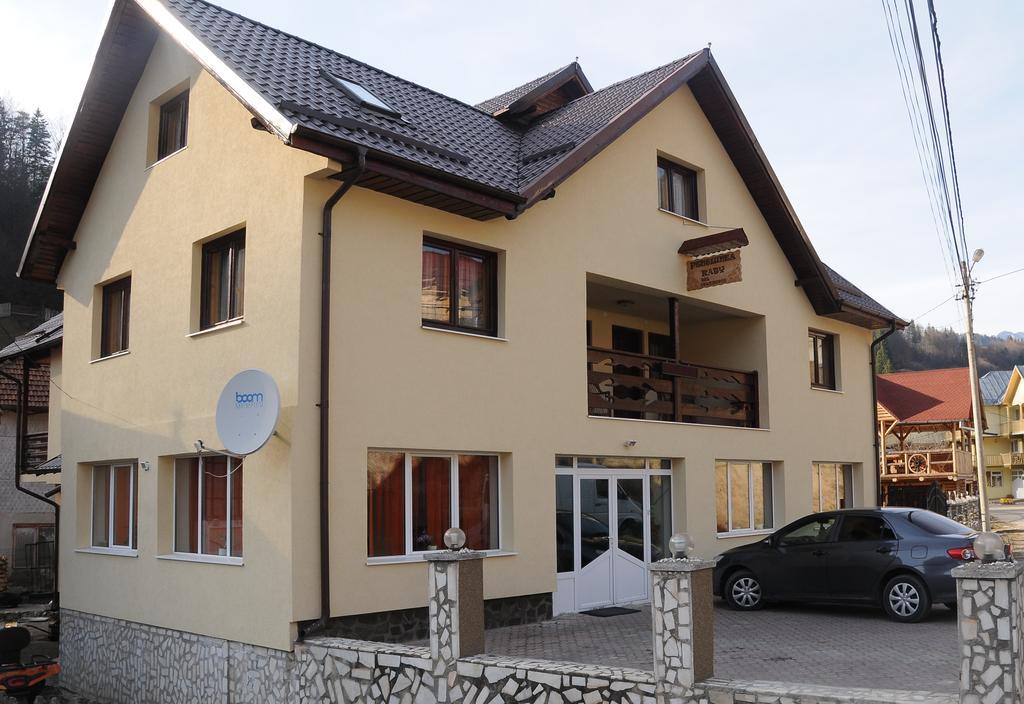 Hotel Casa Andu Dîmbovicioara Zewnętrze zdjęcie
