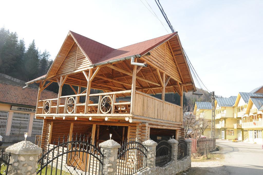 Hotel Casa Andu Dîmbovicioara Zewnętrze zdjęcie