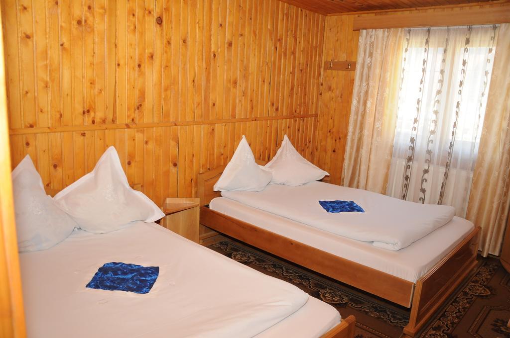 Hotel Casa Andu Dîmbovicioara Zewnętrze zdjęcie