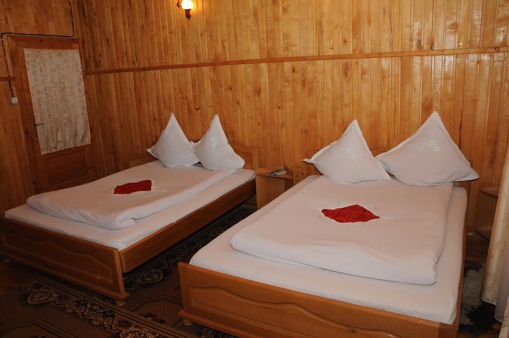 Hotel Casa Andu Dîmbovicioara Zewnętrze zdjęcie