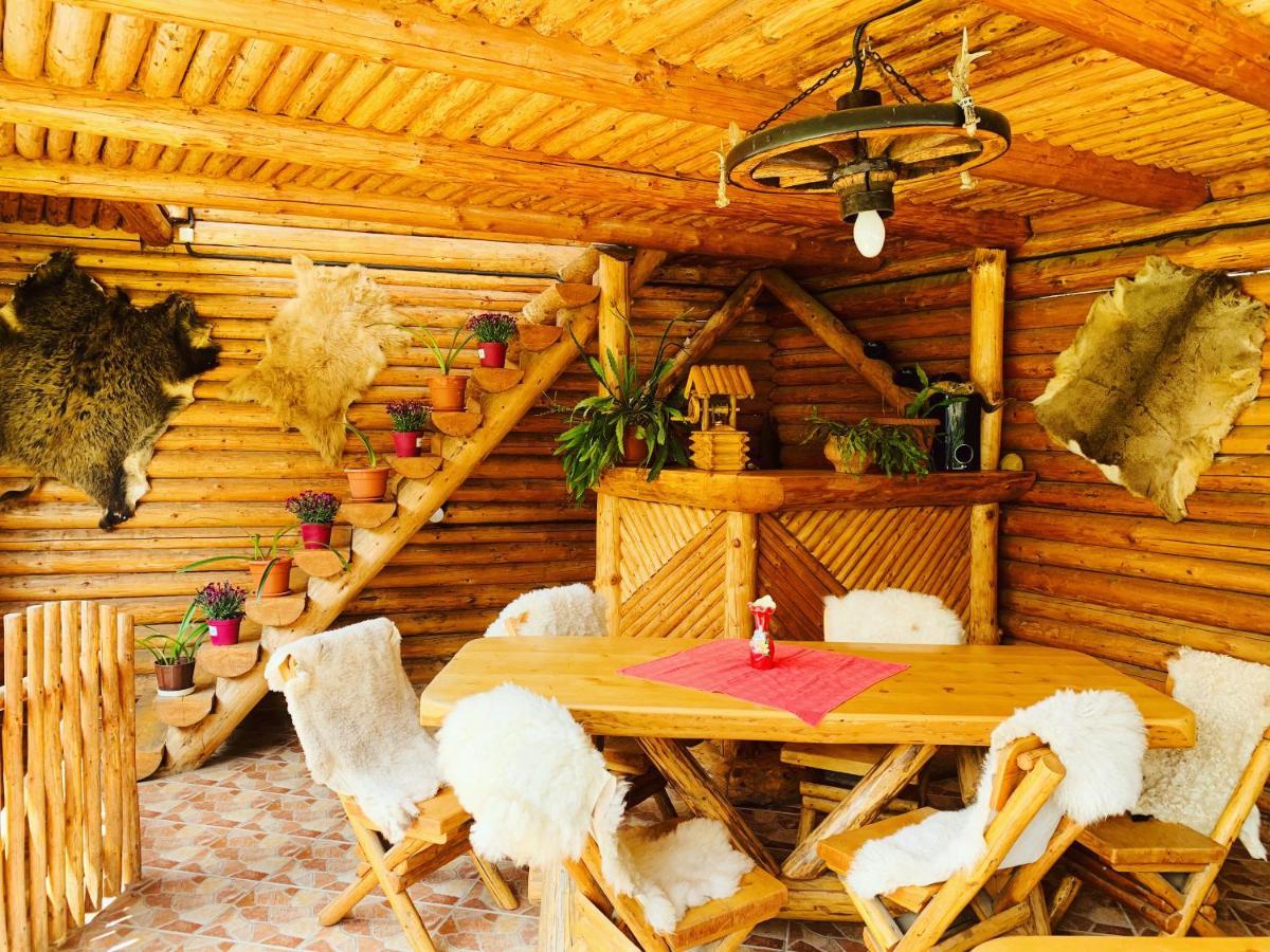 Hotel Casa Andu Dîmbovicioara Zewnętrze zdjęcie