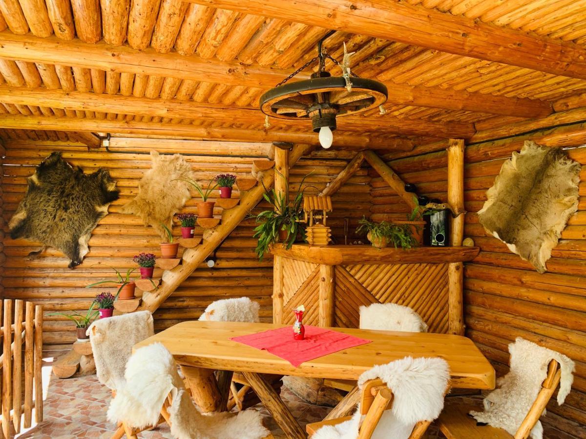 Hotel Casa Andu Dîmbovicioara Zewnętrze zdjęcie