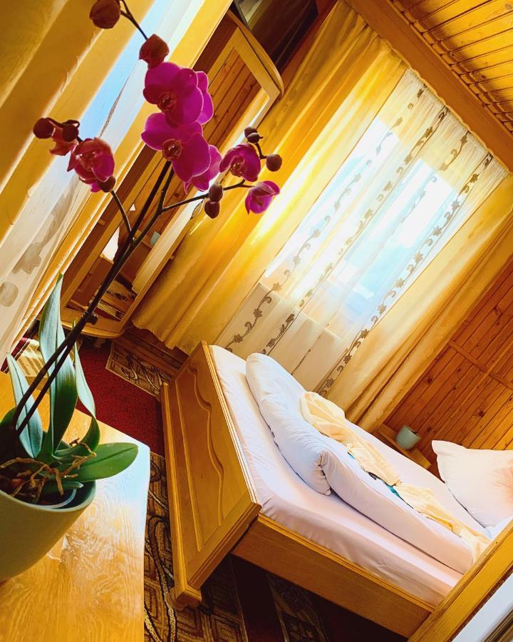 Hotel Casa Andu Dîmbovicioara Zewnętrze zdjęcie