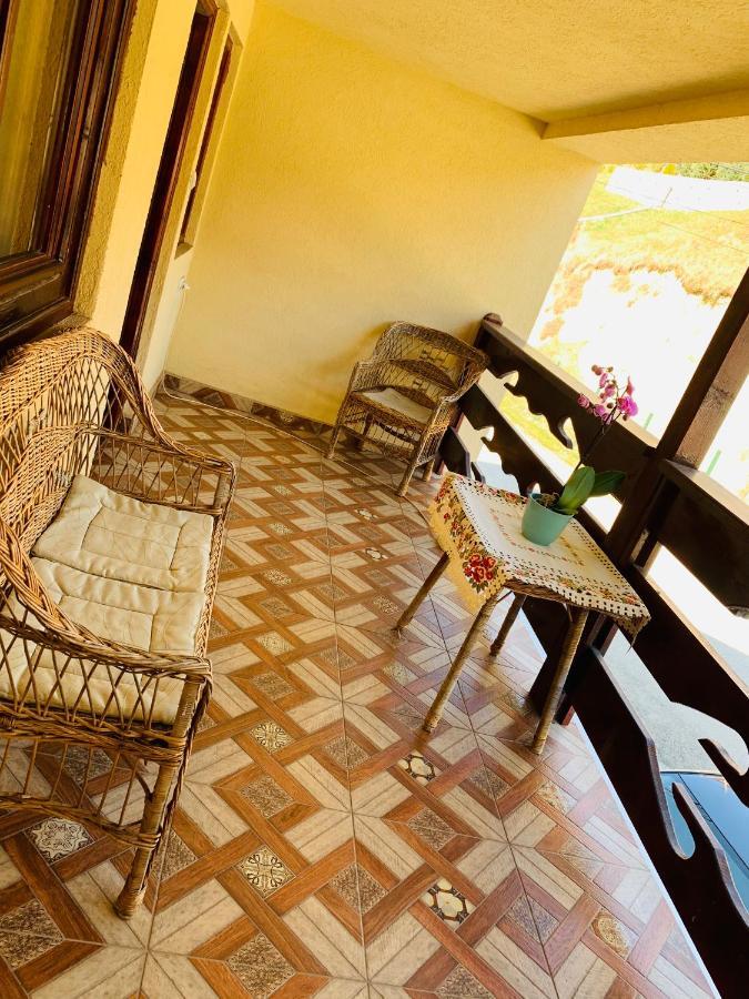 Hotel Casa Andu Dîmbovicioara Zewnętrze zdjęcie