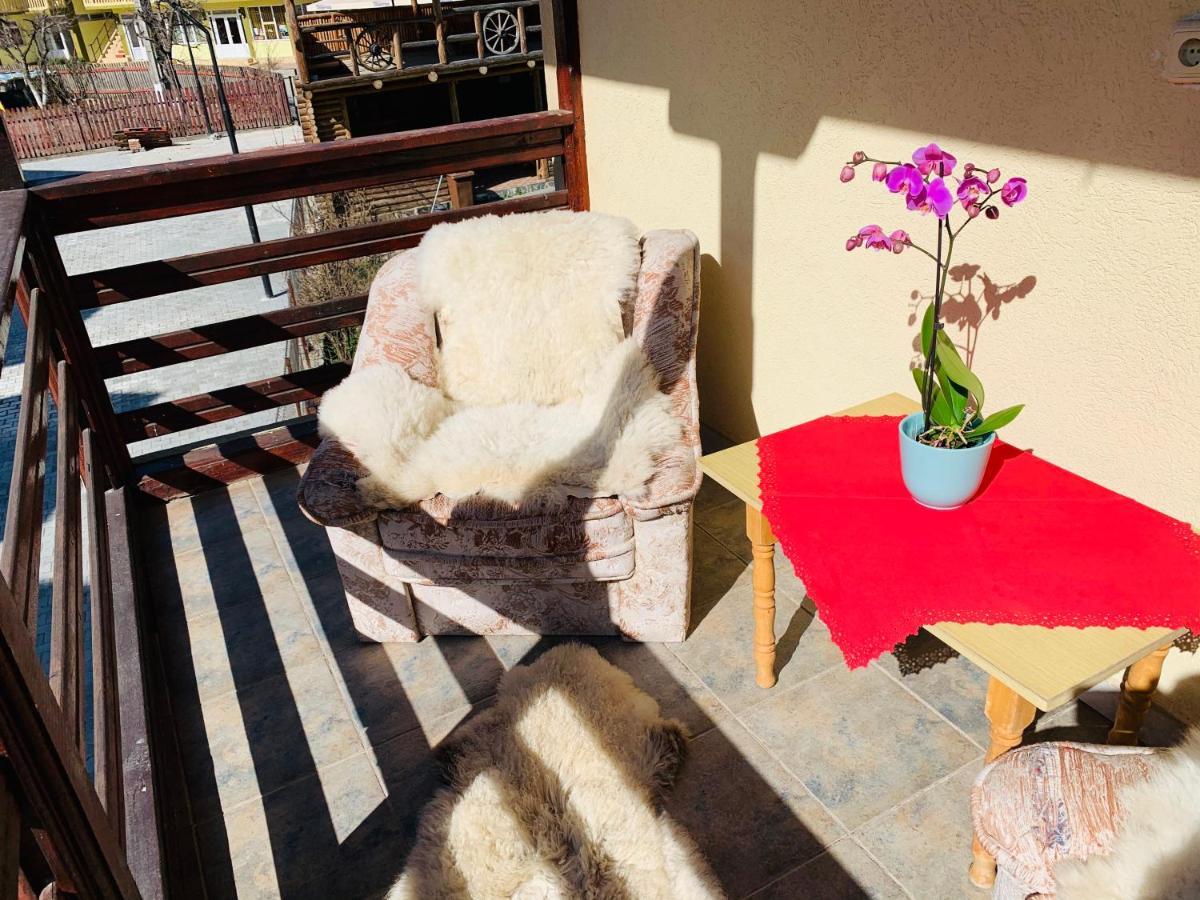 Hotel Casa Andu Dîmbovicioara Zewnętrze zdjęcie