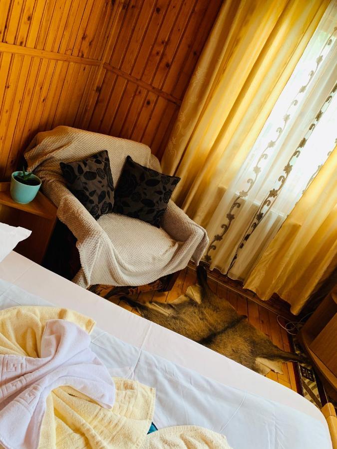 Hotel Casa Andu Dîmbovicioara Zewnętrze zdjęcie